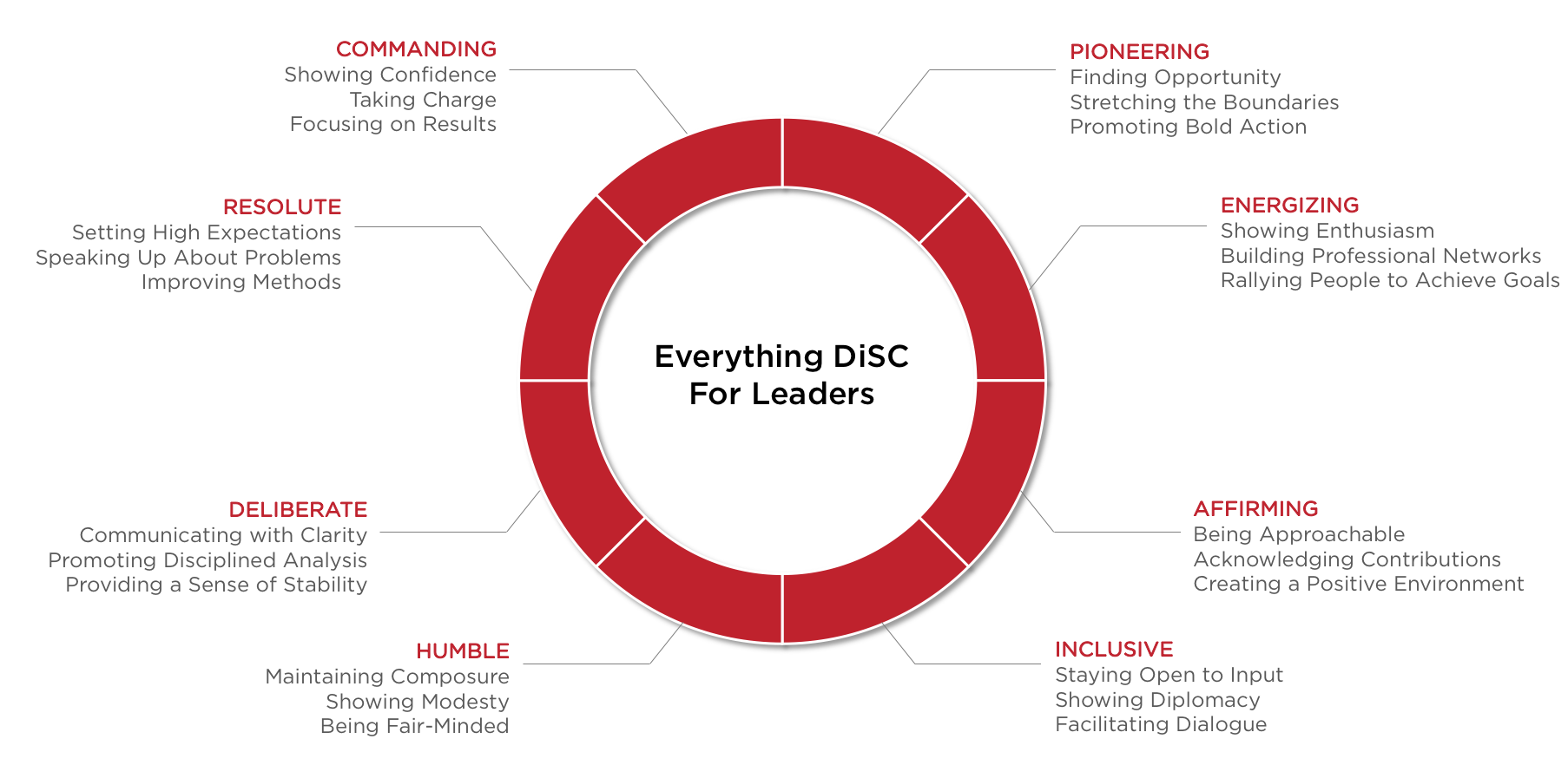 everything disc for leaders